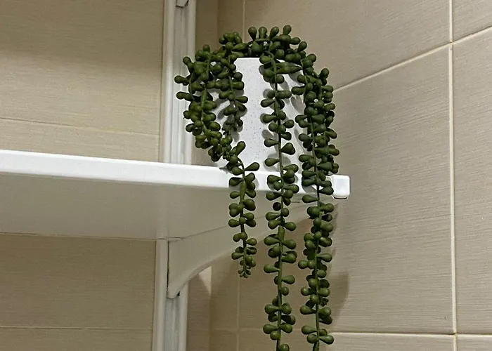 Apartment Carvajal *