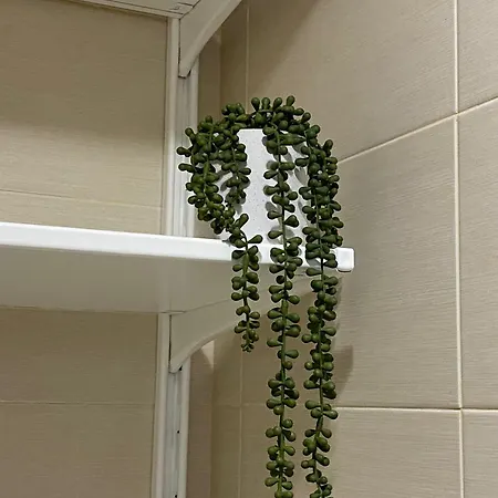 Апартаменты Carvajal *