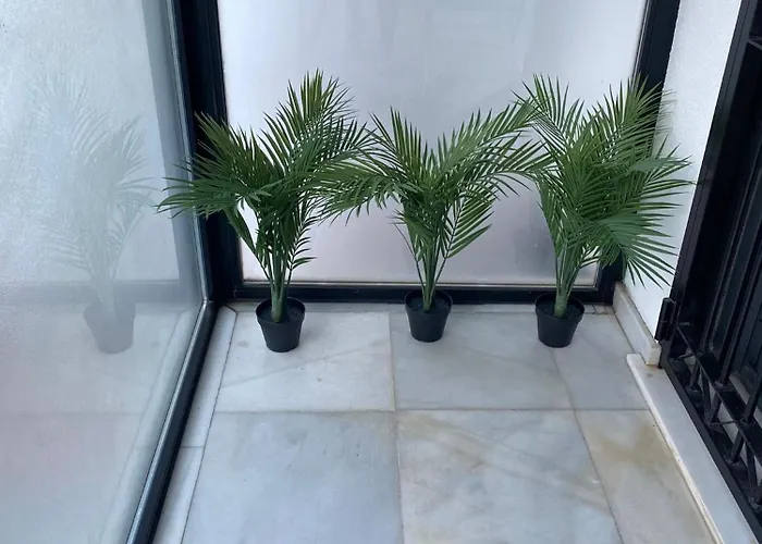 Carvajal Apartamento *